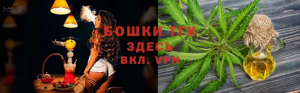 спайс Алексин