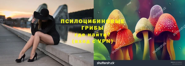 гидропоника Алексеевка
